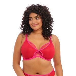 Elomi Kintai Peek-a-boo Plunge - Cha Cha Red Pink Mesh Unlined Bra 40DDD 301202